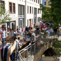 Trödeln im Sonnenschein im Sonnenhof