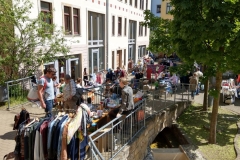 Trödeln im Sonnenschein im Sonnenhof