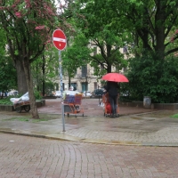 Keine Trödelei am Martinshof