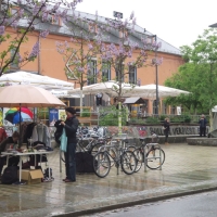 Regen? Was soll das denn sein. Eiserne Trödler vor der Scheune.